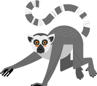 313x277 Collection Of Free Lemur Drawing Clipart Download On Ui Ex