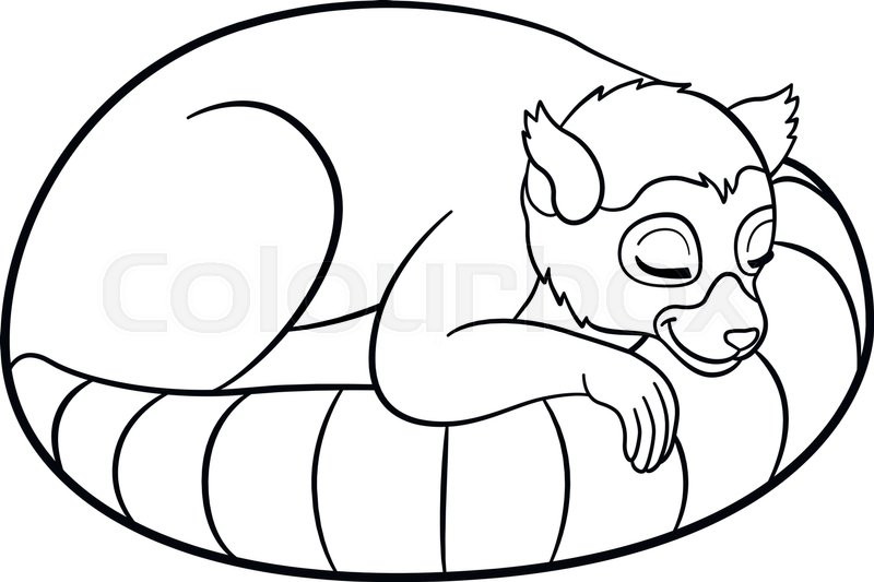 800x533 Coloring Pages Little Cute Lemur Stock Vector Colourbox