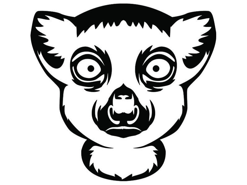 794x597 lemur madagascar monkey primate head face wild animal etsy
