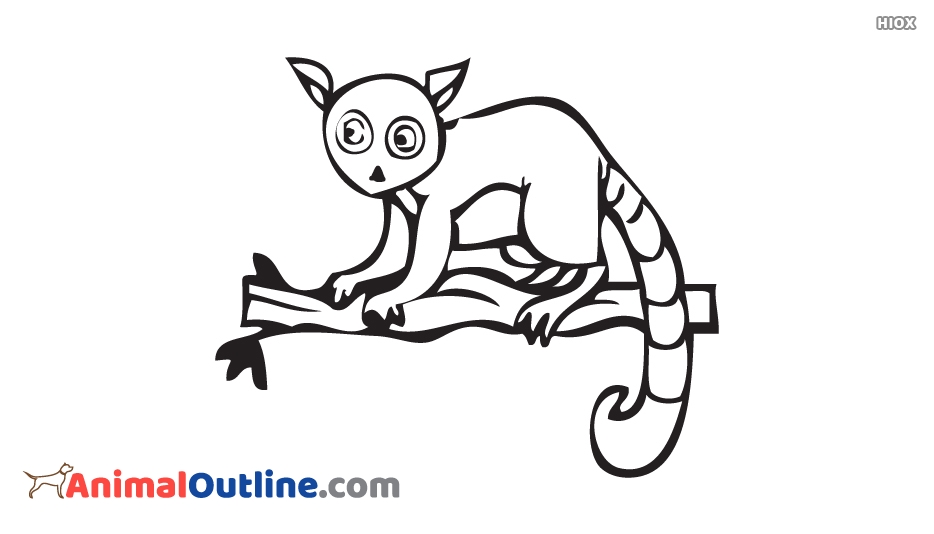 934x534 Lemur Animal Outline Pictures, Images