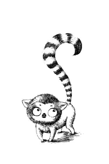 375x562 Lemur Drawing