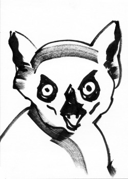 250x350 Lemur Katta Tumblr