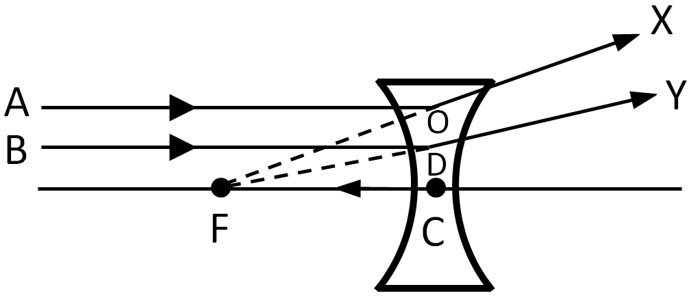 1006x442 Formation Of Different Types Of Images