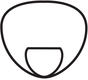 364x330 shannon optical