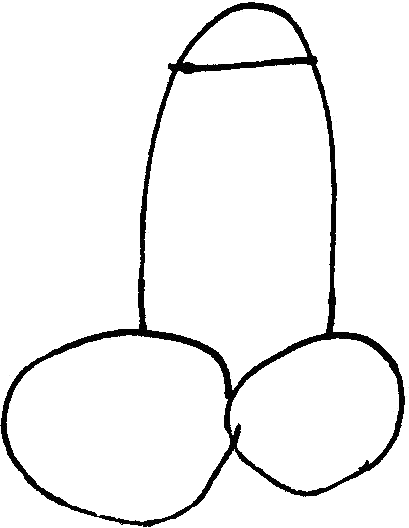 409x528 european elections