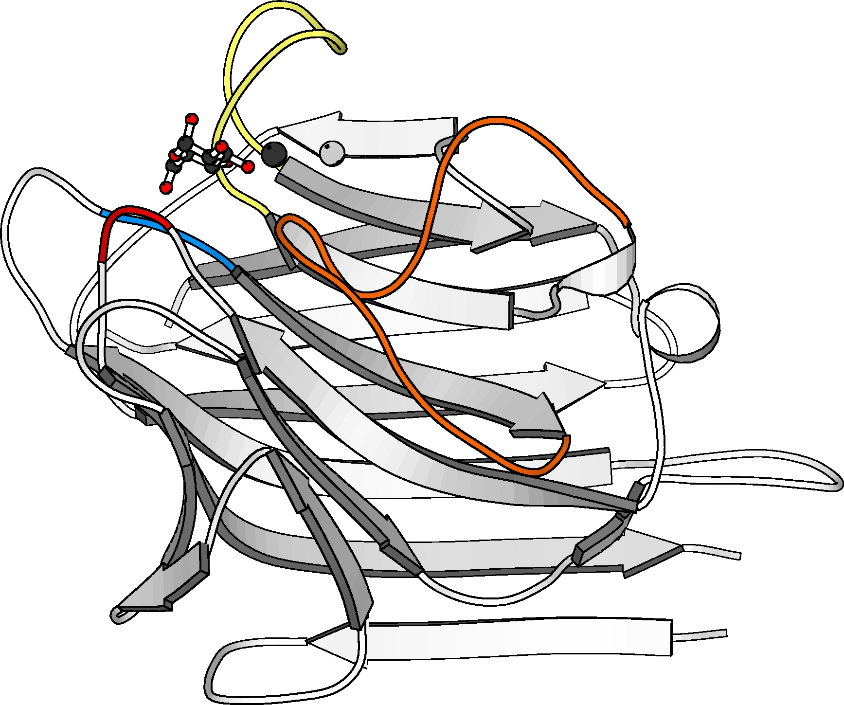 1735x1449 filelegume lectin monomer