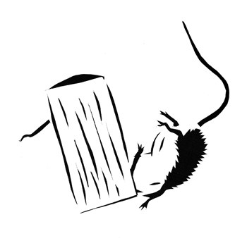 350x352 probably not a banksy bold lentil