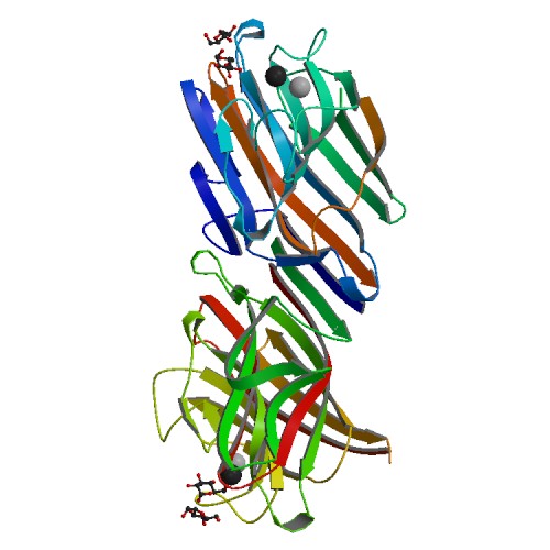 500x500 rcsb pdb