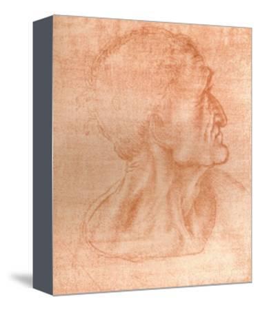 374x450 Beautiful Leonardo Da Vinci Canvas Artwork For Sale, Posters