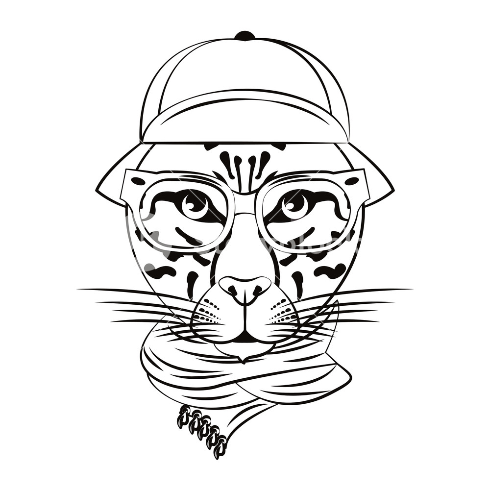 1000x1000 Hipster Leopard Cool Sketch In Black And White Vector Illustration