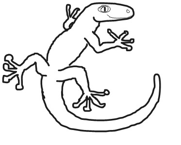 373x300 Leopard Gecko Clipart Drawing