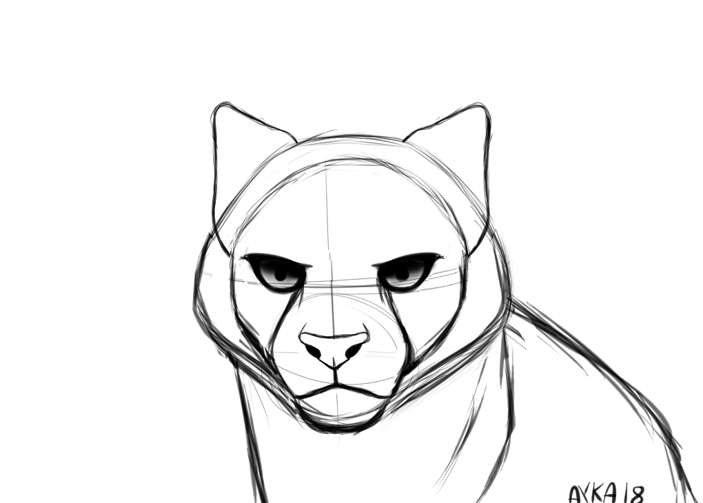 1020x730 Snow Leopard