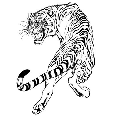 414x414 Black And White Drawing Of A Japanese Tiger Illustration