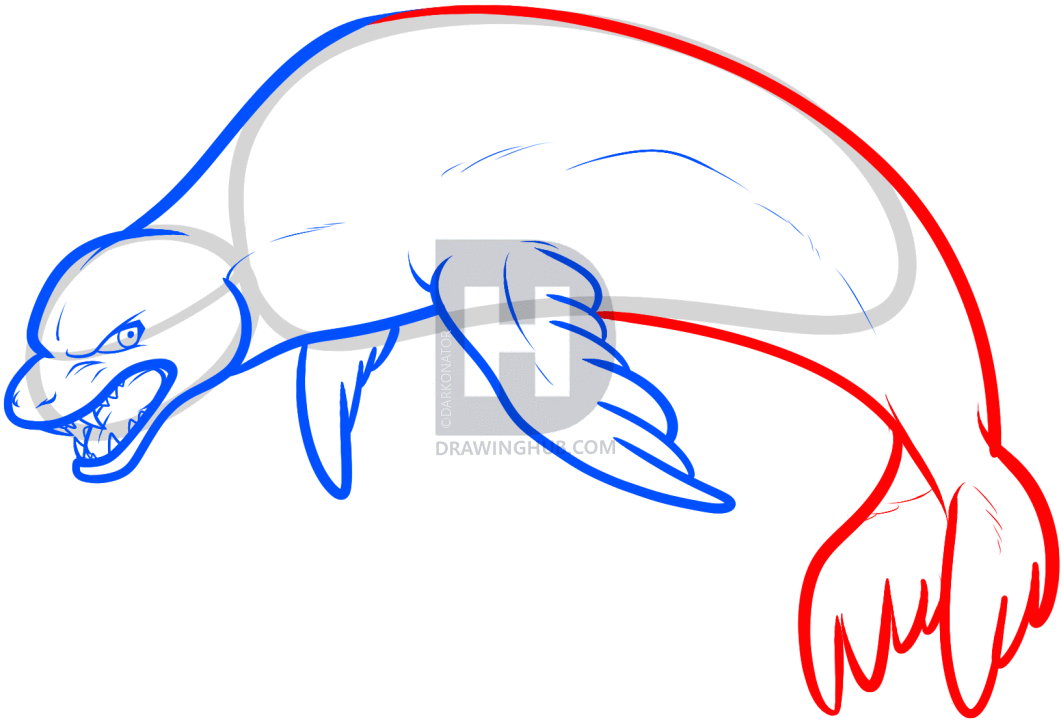 1061x720 How To Draw A Leopard Seal, Step