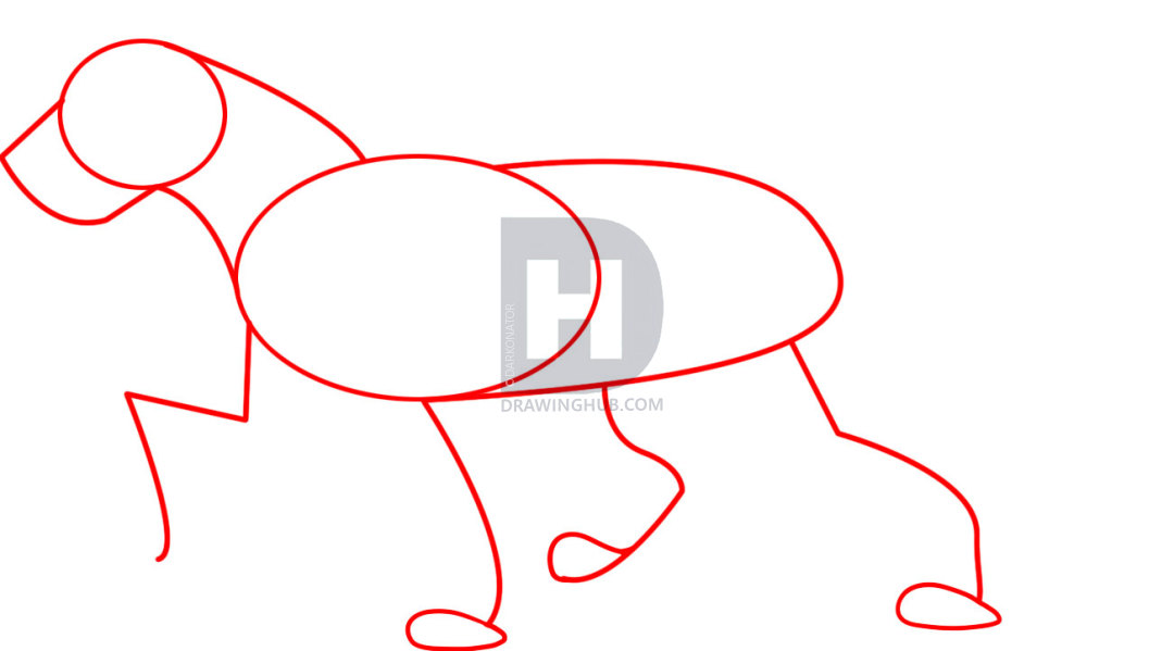 1080x599 How To Draw Cartoon Leopard, Step