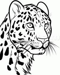 202x250 Leopard Cartoon