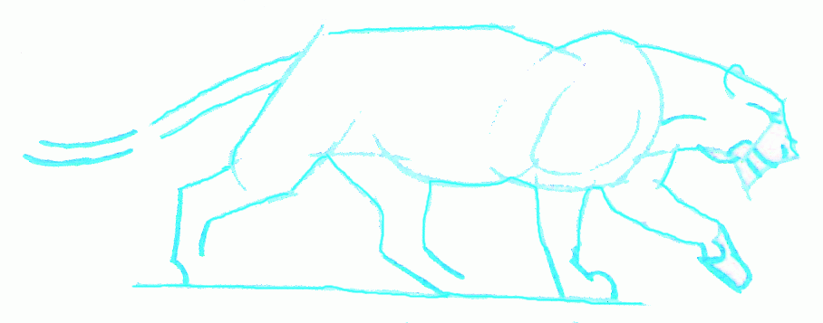 908x357 Exam Guide Online