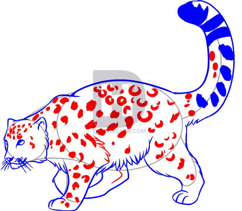 826x720 How To Draw A Snow Leopard, Step