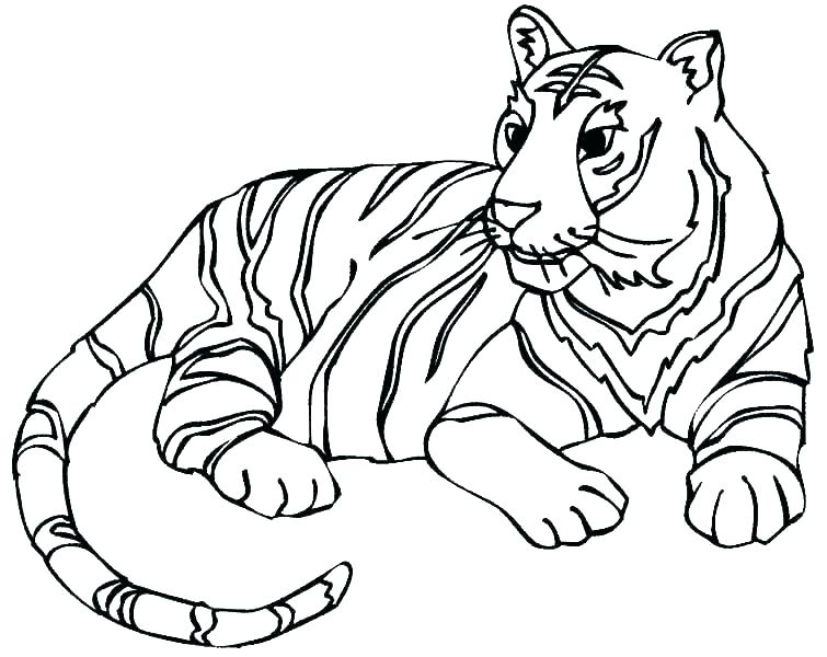 755x600 leopard coloring pages leopard coloring