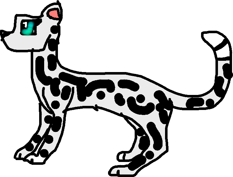 744x565 Make Your Own Snow Leopard!