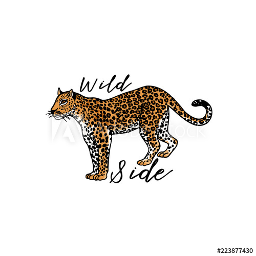 500x500 Wild Side Slogan Leopard Typography Graphic Print, Fashion