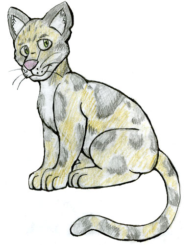 400x499 Easy Leopard Drawings