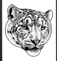 190x203 Snow Leopard Iphone Case Spreadshirt