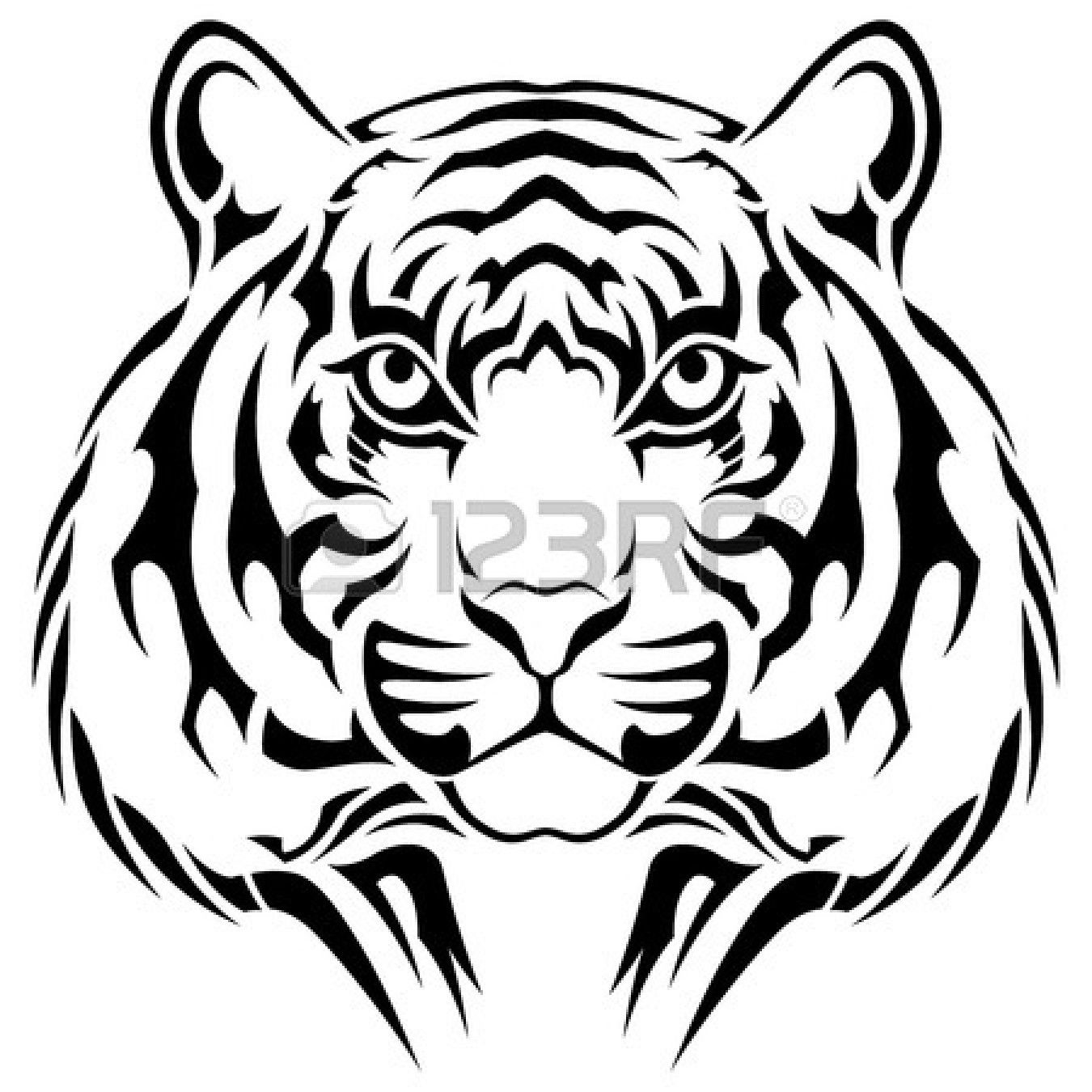 1350x1350 Leopard Eye Vector