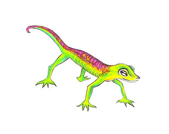 340x270 Gecko Drawing Etsy