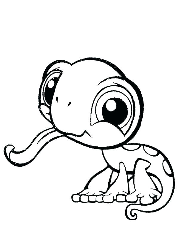 600x840 Leopard Gecko Coloring Pages Draw A Gecko Step