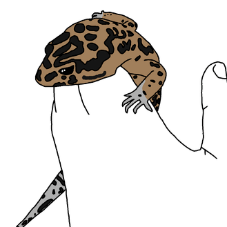 329x329 My Leopard Gecko