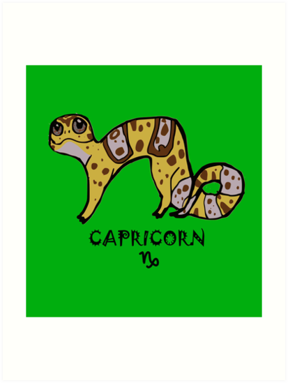 413x549 Zodiac Leopard Geckos