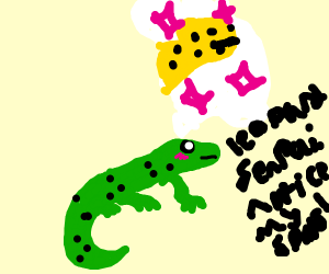 300x250 Leopard Gecko