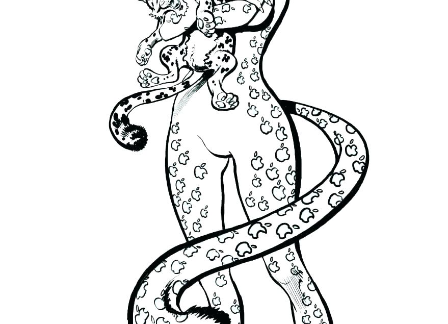 879x635 coloring pages leopard gecko coloring pages leopard gecko