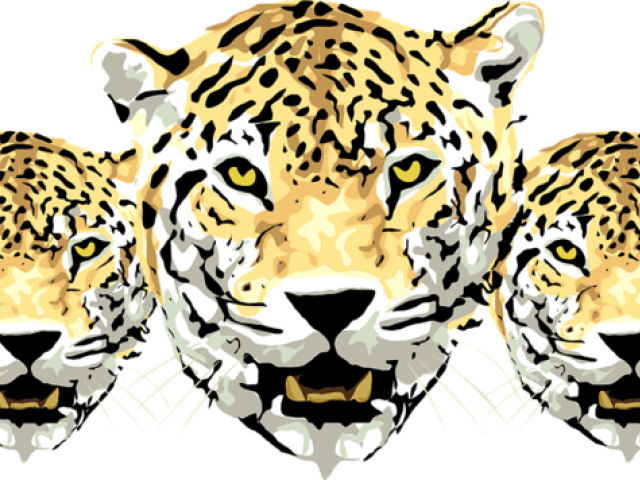 640x480 free amur leopard clipart, download free clip art