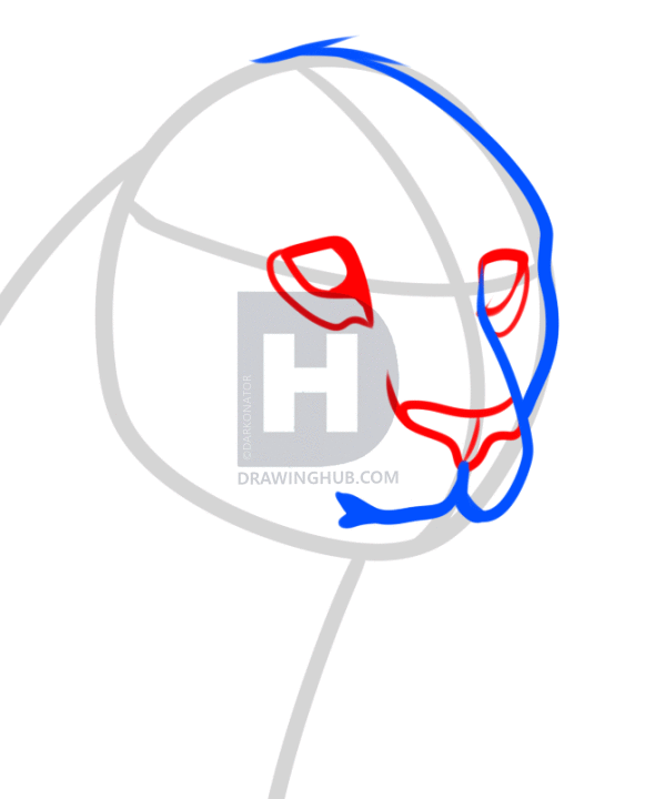 581x720 How To Draw A Leopard Head, Step