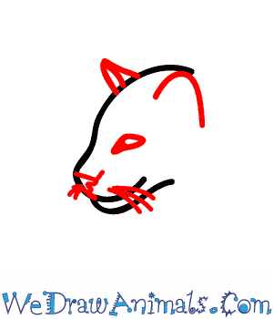 300x350 how to draw a clouded leopard