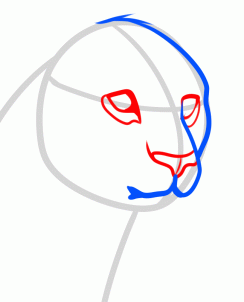 244x302 How To Draw A Leopard Head