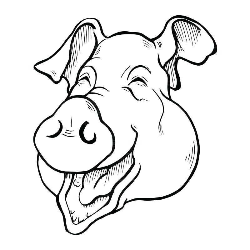 800x800 Pig Head Drawing Pig Head Hand Draw Doodles How To Draw A Pigs