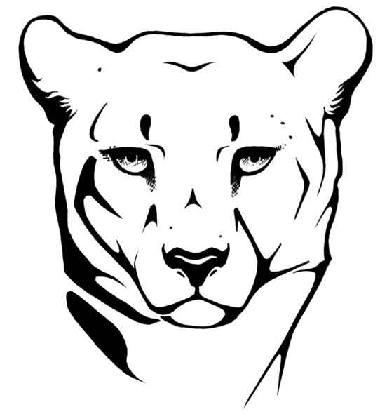552x590 Cheetah Drawing Head For Free Download