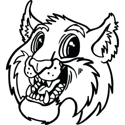 400x400 wildcat drawings announces paws the wildcat an on line news