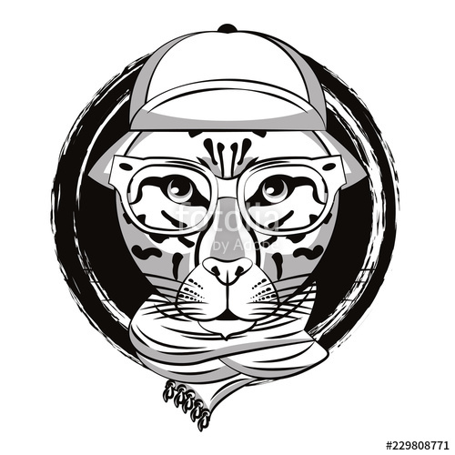 500x500 Hipster Leopard Cool Sketch Stock Image And Royalty Free Vector