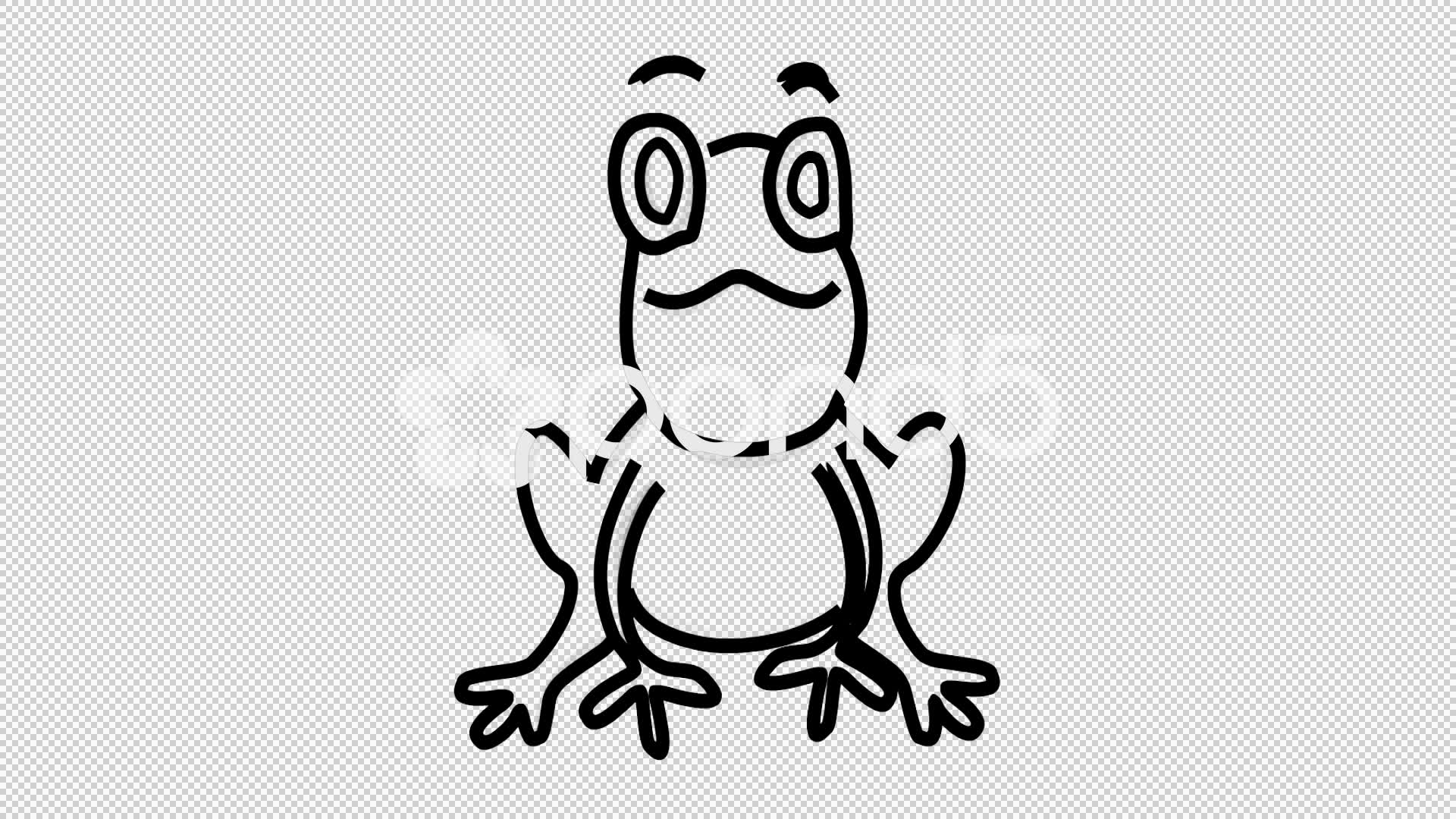 1920x1080 Huge Collection Of 'frog Line Drawing' Download More Than