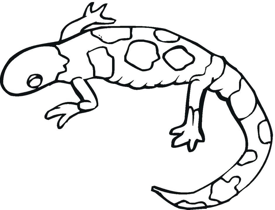 940x719 Leopard Gecko Coloring Pages Green Iguana Coloring Pages Green
