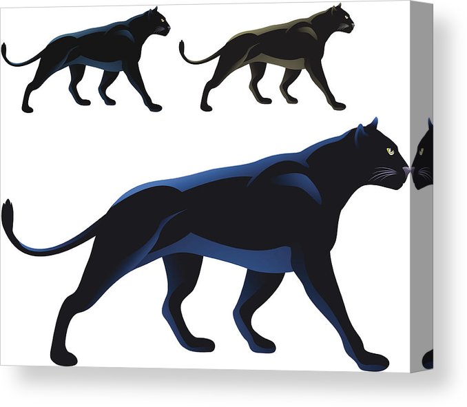 678x591 Black Panther Canvas Print Canvas Art