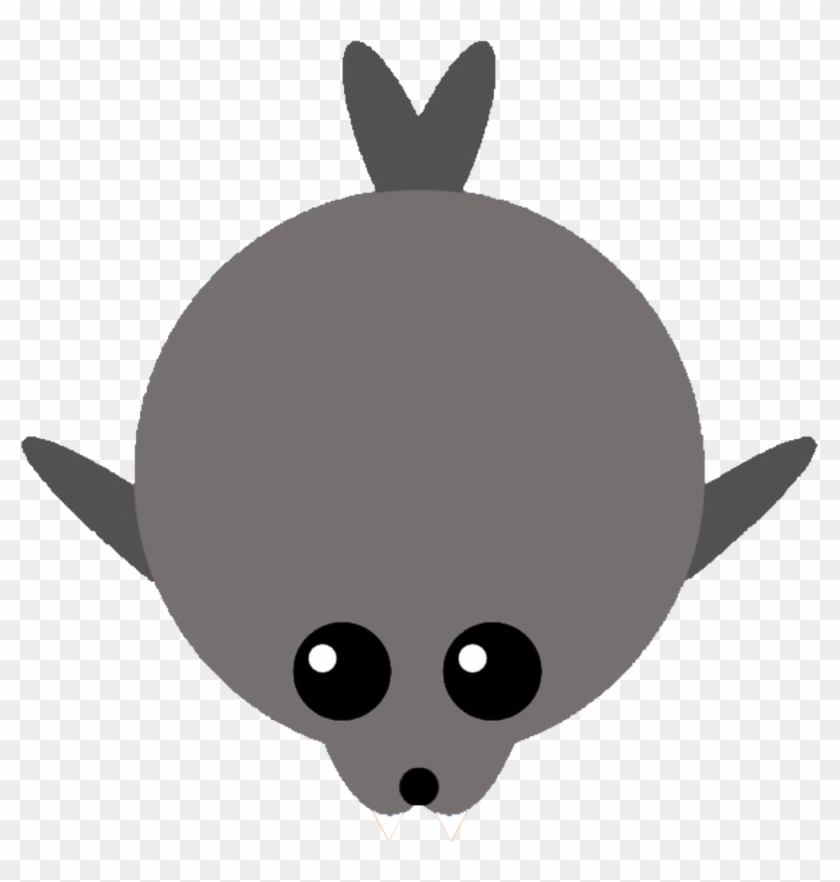 840x882 Huge Collection Of 'leopard Seal Clipart' Download More Than