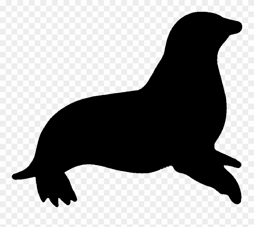 880x789 Leopard Seal Clipart Animated