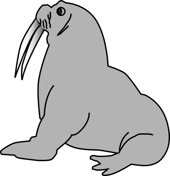 576x594 Leopard Seal Clipart