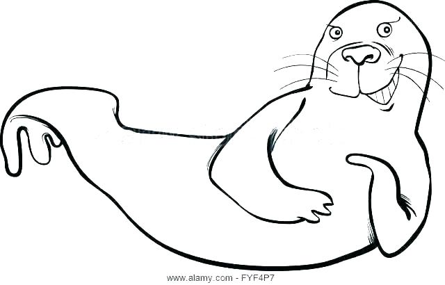 640x410 Seal Coloring