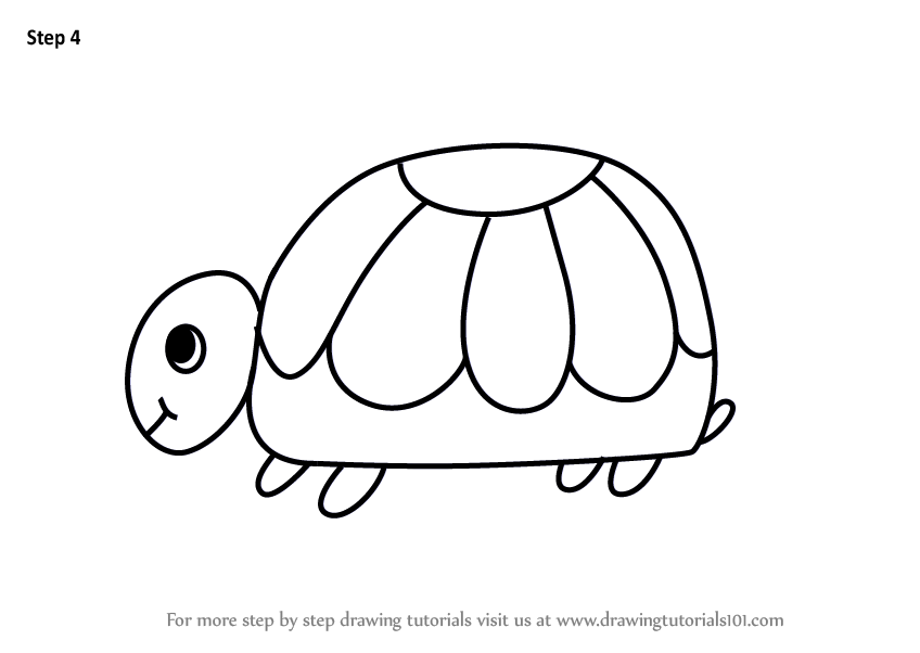 848x602 Learn How To Draw A Turtle From Letter
